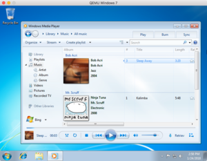 Windows Media Player.png